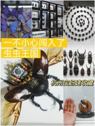 -酷嗒动物文化乐园(cutezoo西溪乐天城店)