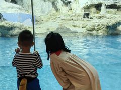 -帝企鹅自助餐厅•儿童岛•真企鹅(长隆企鹅酒店)