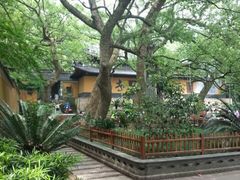 -普陀山风景名胜区-法雨禅寺