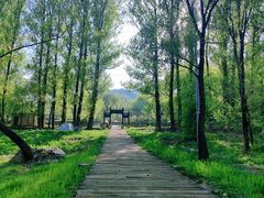 -玉渡山自然风景区