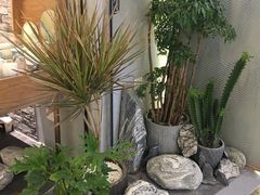 门面-茶理宜世(东方宝泰店)