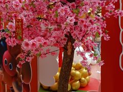 -万达广场(松江店)