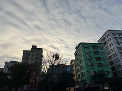 -大芬美术馆