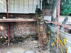 -农家小院土菜馆(斩坑桥店)