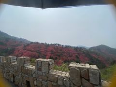 -木兰云雾山