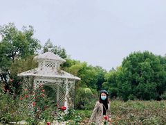 -东湖落雁景区