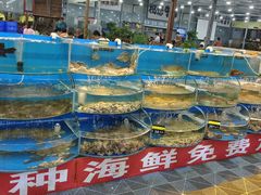 -沿海渔家院海鲜烧烤·东北菜(东戴河店)