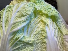 -南门四季铜锅涮肉(大屯·北苑店)