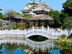 -顺峰山公园