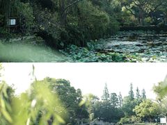 -无锡蠡湖国家湿地公园-蠡园