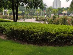 -文华公园(禅城区)