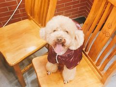 -食其家·牛丼咖喱(宜山路贝岭店)