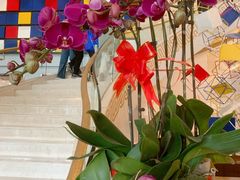 -苏州西交利物浦大学国际会议中心