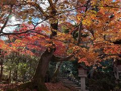-常寂光寺