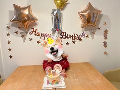 -咖咖熊蛋糕定制·英国蓝风车动物性淡奶油