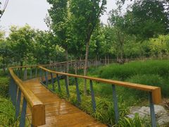-东郊湿地公园