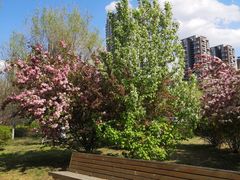 -长白岛森林公园