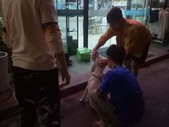 -萌兽医馆·宠物医院·猫骨科(创景店)