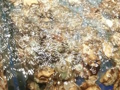 -焰江山海鲜牛排烤肉自助(锦华万达二星店)
