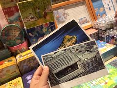 -猫的天空之城概念书店(丽江古城饮玉巷店)