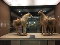 -西安大唐西市博物馆