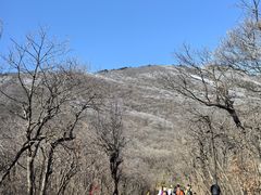-安吉龙王山风景区