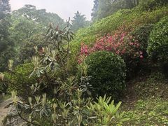 -阿哈湖国家湿地公园