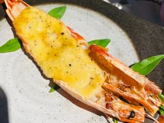 -Mr.Fish鱼鲜生海鲜放题(高德置地冬广场店)