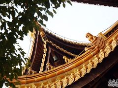 -亭林园-华藏寺