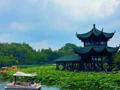 -桂湖森林公园
