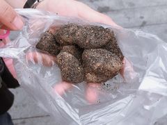 -叶氏麻糍(鼓浪屿店)
