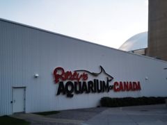 -瑞普利水族馆