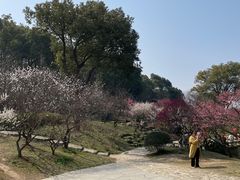 -无锡梅园公园