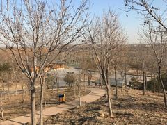 -东郊湿地公园