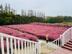 -嘉北郊野公园