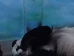 -柳州市动物园