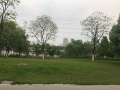 -九里河湿地公园