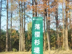 -金银湖国家城市湿地公园