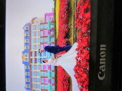 -百万葵园