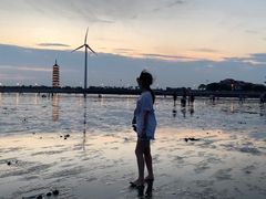-奉贤海滩
