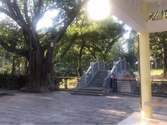 -人民公园(罗湖区)