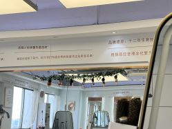 -镁连社·美联社