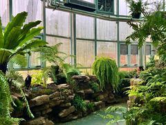 -国家植物园南园