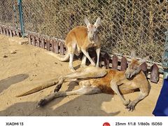 -济南野生动物世界