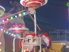 -巨鹏飞梦幻海岸
