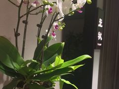 -花锦堂·隐庐