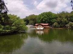 -深圳野生动物园