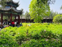 -洛阳白马寺