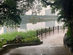 -南宁南湖公园