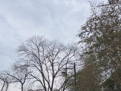 -崇阳三特浪口温泉